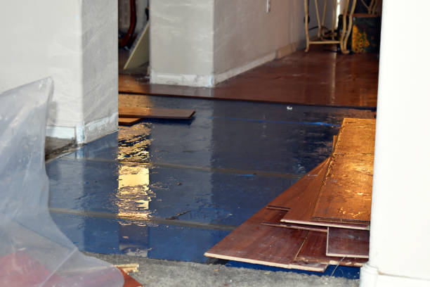 Professional Water Extraction technician working in Round Pond, ME